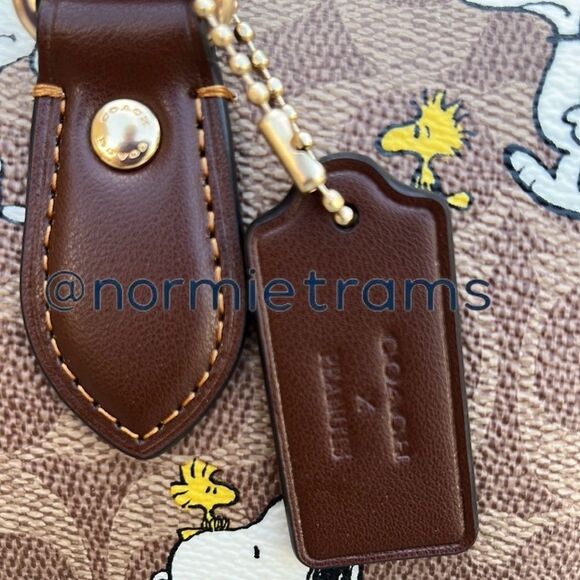 Coach X Peanuts Rowan Satchel Bag In Signature Canvas With Snoopy Print - Picture 6 of 13